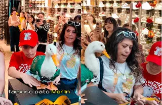 Después de hacerse viral durante el Mundial, el pato Merlín sigue conquistando corazones. Cómo ha cambiado su vida y su nueva colaboración con Panam