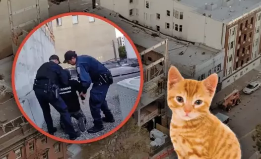 Las autoridades arrestaron al fugitivo en dos ocasiones mediante operativos especializados