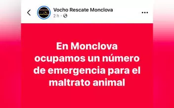 La originaria de Monclova dijo que a lo largo de estos años logró documentar hasta 300 casos de descuido.
