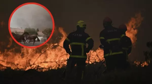 Un centro ecuestre en el suroeste de Francia liberó a varios caballos mientras intentaba evacuarlos en medio de los incendios forestales