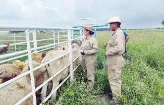 Departamento de Agricultura de los Estados Unidos (USDA) anunció la reapertura desde México a partir del próximo 24 de agosto