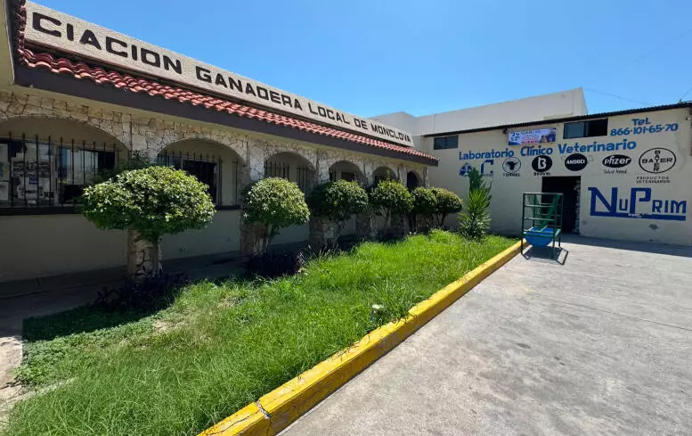  El anuncio de reapertura de la frontera a la exportación de ganado reactivará la actividad agropecuaria de Coahuila, que en los últimos dos años dejó de exportar 80 mil cabezas anuales.