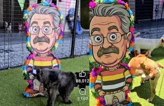 Pedro Sola, presentador de 'Ventaneando', fue una de las figuras más canceladas en México semanas atrás