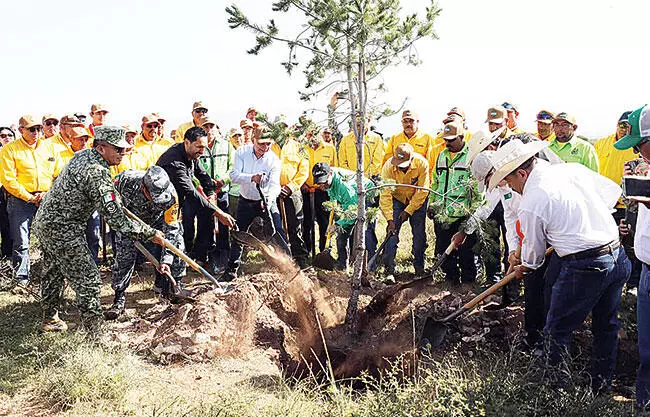 Se suma Coahuila a la Jornada de Reforestación