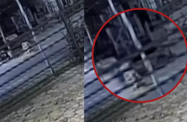 VIDEO: Así fue el fatal accidente de Alejandra Martínez en el bulevar Colosio