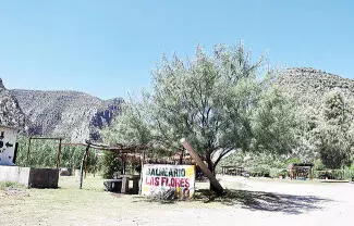 Elementos de Protección Civil de Nadadores realizarán inspecciones constantes en quintas y balnearios del municipio.