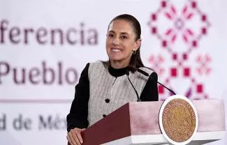 La Mandataria adelantó que también presentará un planteamiento para incorporar esos criterios en la ley