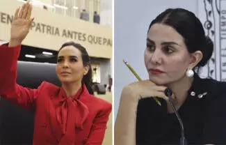 La dirigente del partido guinda, Ariadna Montiel solicitó a la Comisión Nacional de Honestidad y Justicia que abriera un procedimiento.