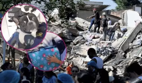 El rescate fue grabado por los bomberos