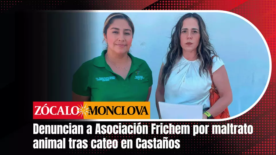 La mayoría de los perros rescatados fueron trasladados a Castaños, donde una rescatista de confianza se hará cargo temporalmente de ellos.