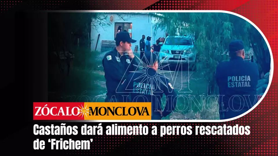 La alcaldesa señaló que, por el momento, los animales fueron trasladados a otros albergues, y que hoy sostendrá una reunión con el director de Seguridad Pública y personal encargado para definir los siguientes pasos.