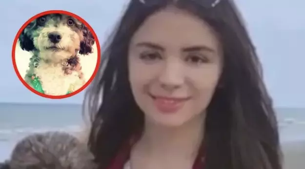 El canino fue protegido por su dueña durante el siniestro y ahora recibe tratamiento médico en la ciudad de Cali en Colombia