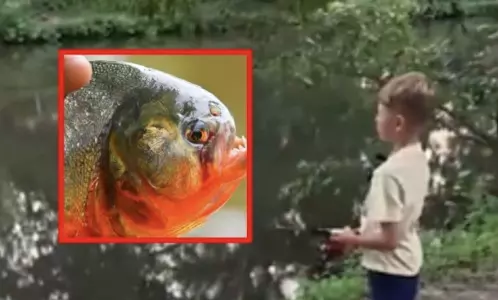 El menor de edad y su padre descubrieron por accidente un pez que no suele ser pescado en la zona