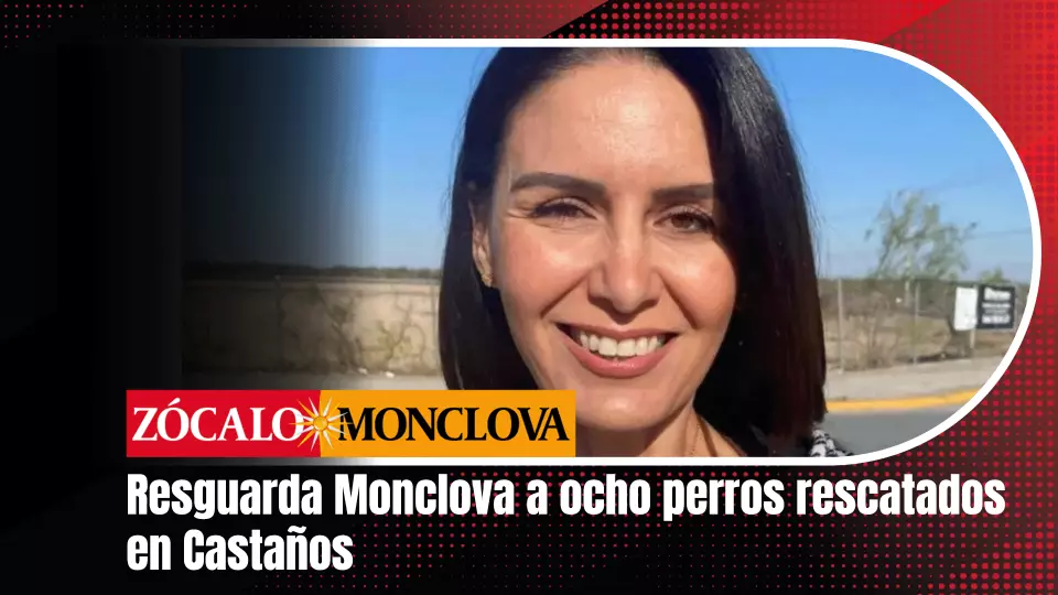 Explicó que, tras conocer la situación y establecer comunicación con el licenciado Everardo Lazo Chapa, planteó al alcalde la posibilidad de que el municipio apoyara con el resguardo de algunos de los ejemplares.