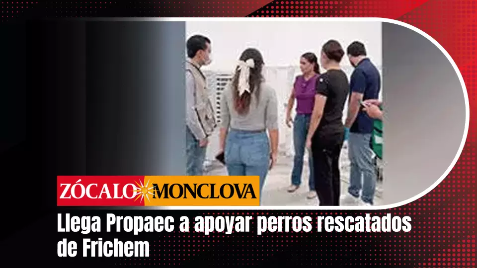 Solo dos veterinarios, los recién llegados de Medio Ambiente junto con las dos doctoras del propio centro, están atendiendo a los animales, ante la falta de personal médico veterinario adicional.