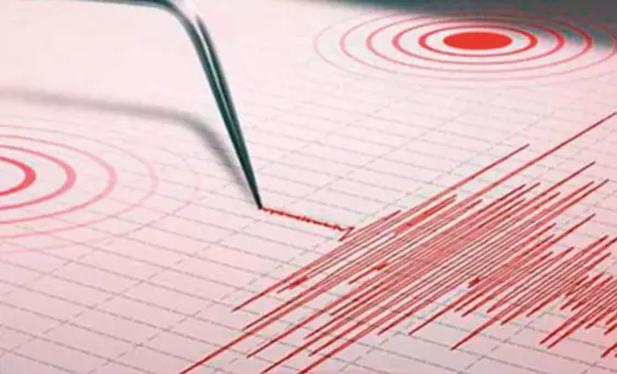 El SSN mantiene el seguimiento de la actividad sísmica y, en caso de registrarse alguna actualización, se espera que sea comunicada por las autoridades correspondientes.