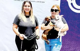 En un “comunicado oficial” que está firmado por la Fundación Frichem y no por su fundadora, Lizbeth Almazán, negó cualquier acusación.