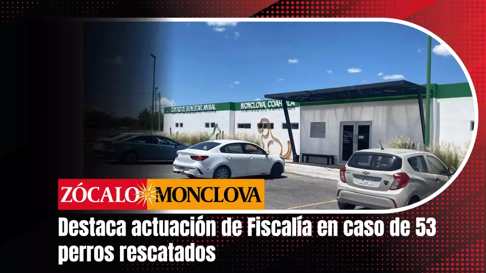 Explicó que el Centro de Bienestar Animal participa como coadyuvante, principalmente mediante los partes médicos de los perros que fueron recibidos en sus instalaciones