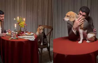 Bad Bunny y su perrita Sansa protagonizaron la sesión dedicada a los perros y sus dueños.