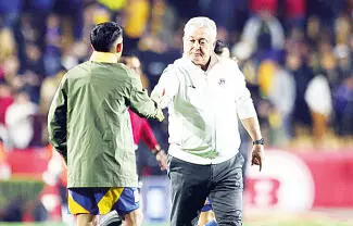 Víctor Manuel Vucetich se convirtió en opción para dirigir a los Tigres, reveló una fuente allegada a la directiva.