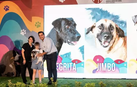Santa Catarina premió a las familias que dieron hogar a perritos rescatados.