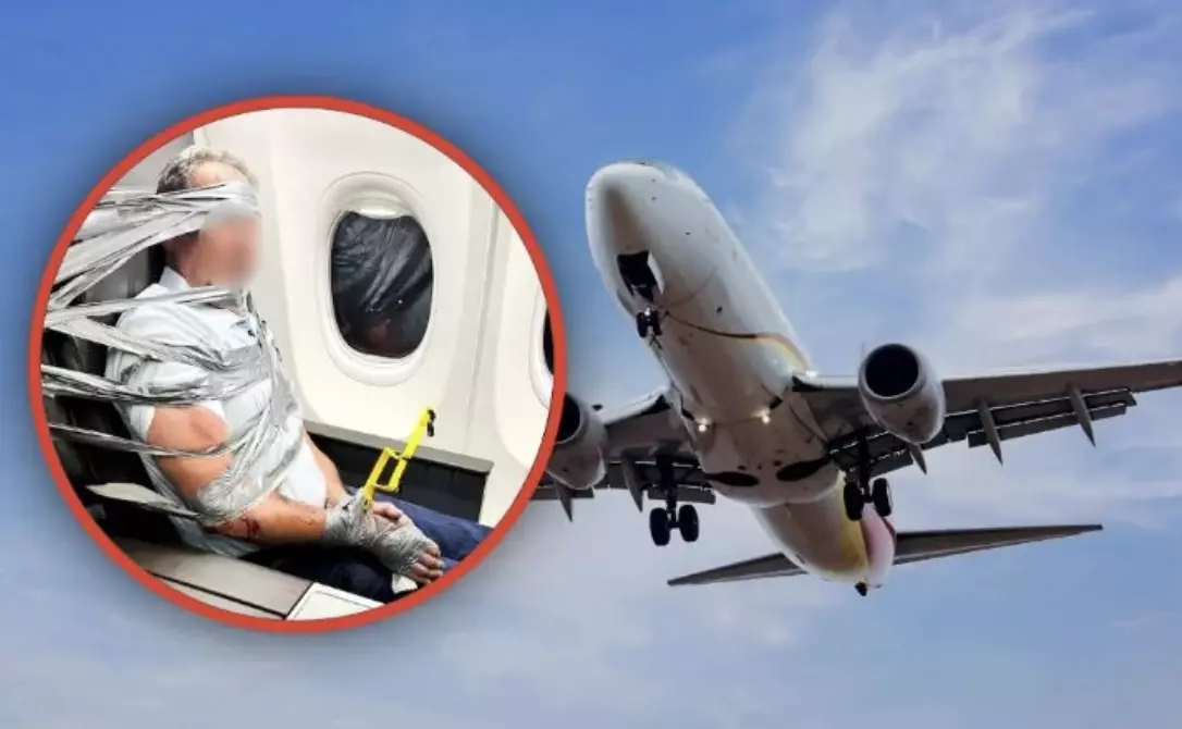 El vuelo de American Airlines tuvo que ser desviado para realizar un aterrizaje de emergencia en Maryland, Estados Unidos