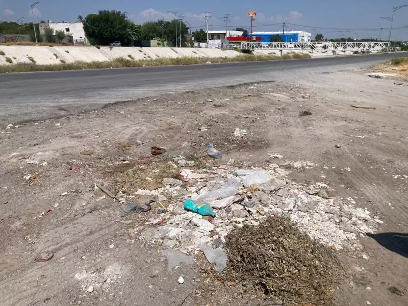 Destacó que los vecinos temen que puedan aparecer ratas, víboras y otros animales, debido a la gran cantidad de basura acumulada en el lugar, además de la maleza que creció tras las lluvias registradas anteriormente.