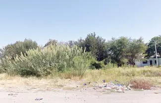 En un basurero clandestino se ha convertido un lote baldío ubicado sobre la calle Niños Héroes, en la colonia Progreso.