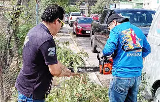 Los estudiantes realizaron labores de limpieza, retiraron ramas y trabajaron en el corte de un árbol que se encontraba derribado