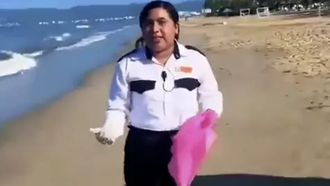 Tocar estas especies antes de llegar al agua afecta sensiblemente su orientación.