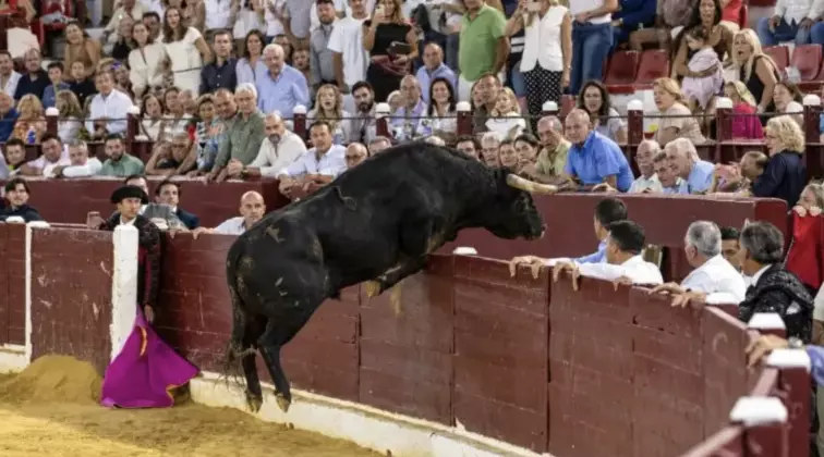 Un video captó el momento en que el toro saltó el muro y avanzó por un espacio ubicado muy cerca de la zona destinada al público 