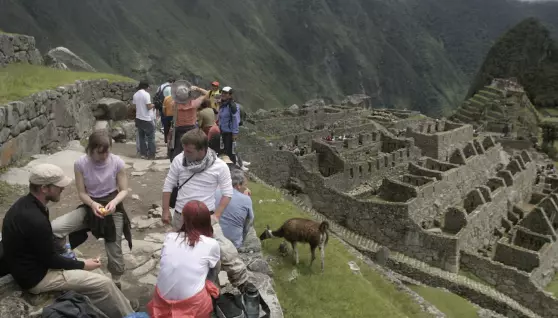 La Dirección Desconcentrada de Cultura de Cusco expresó “sus más sentidas condolencias a los familiares y allegados del visitante”.