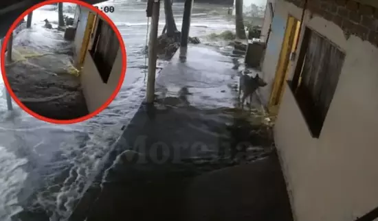Un video captado por cámaras de seguridad en la playa Las Peñas, dentro del municipio de Lázaro Cárdenas, se ha vuelto tendencia en redes sociales
