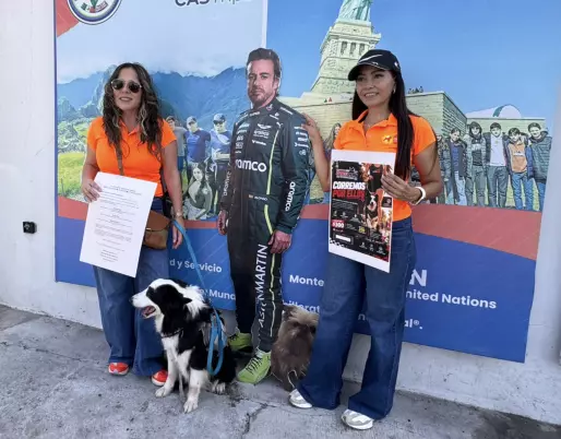 Los perros rescatados permanecerán bajo resguardo de la Red Animalista —Fundación Milma, Siete Vidas y Protekani