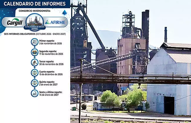 Sin margen de error: El incumplimiento invalidará de inmediato el rescate de la acerera