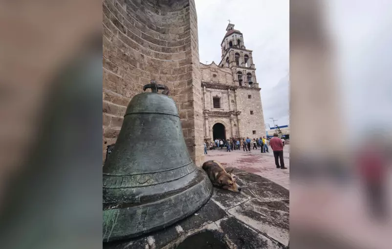 Adentro, el sermón sobre ser buenos administradores de la creación. Afuera, un can en situación de calle dando ejemplo de fe.
