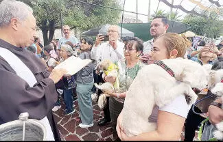 En el marco de los festejos de la parroquia San Francisco de Asís, este domingo se llevó a cabo una misa especial de bendición para las mascotas.