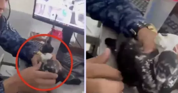 El siniestro sucedió el centro de reclusión en Palogordo, Girón, Santander, comunidad perteneciente a Colombia