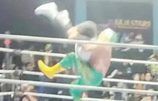Por presuntamente causar la muerte del réferi Germán Pineda “El Búho” tras una función de lucha libre, fue detenido el luchador Hijo de Fishman. 
