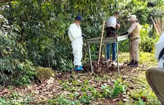 Tras 12 días en Xalisco, colectivos y autoridades hallaron restos calcinados en un predio con hornillas clandestinas y fosas. Conoce los detalles