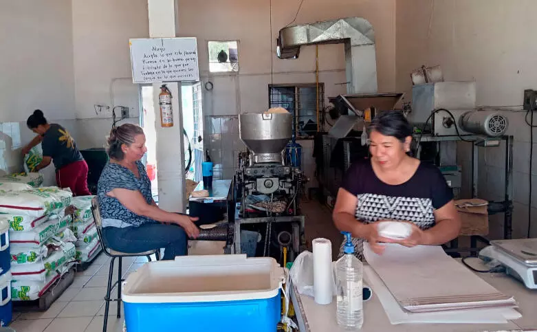Alejo Peña, de Industriales de la Masa y la Tortilla, advierte que el cierre de fuentes de empleo pegó directo al consumo.